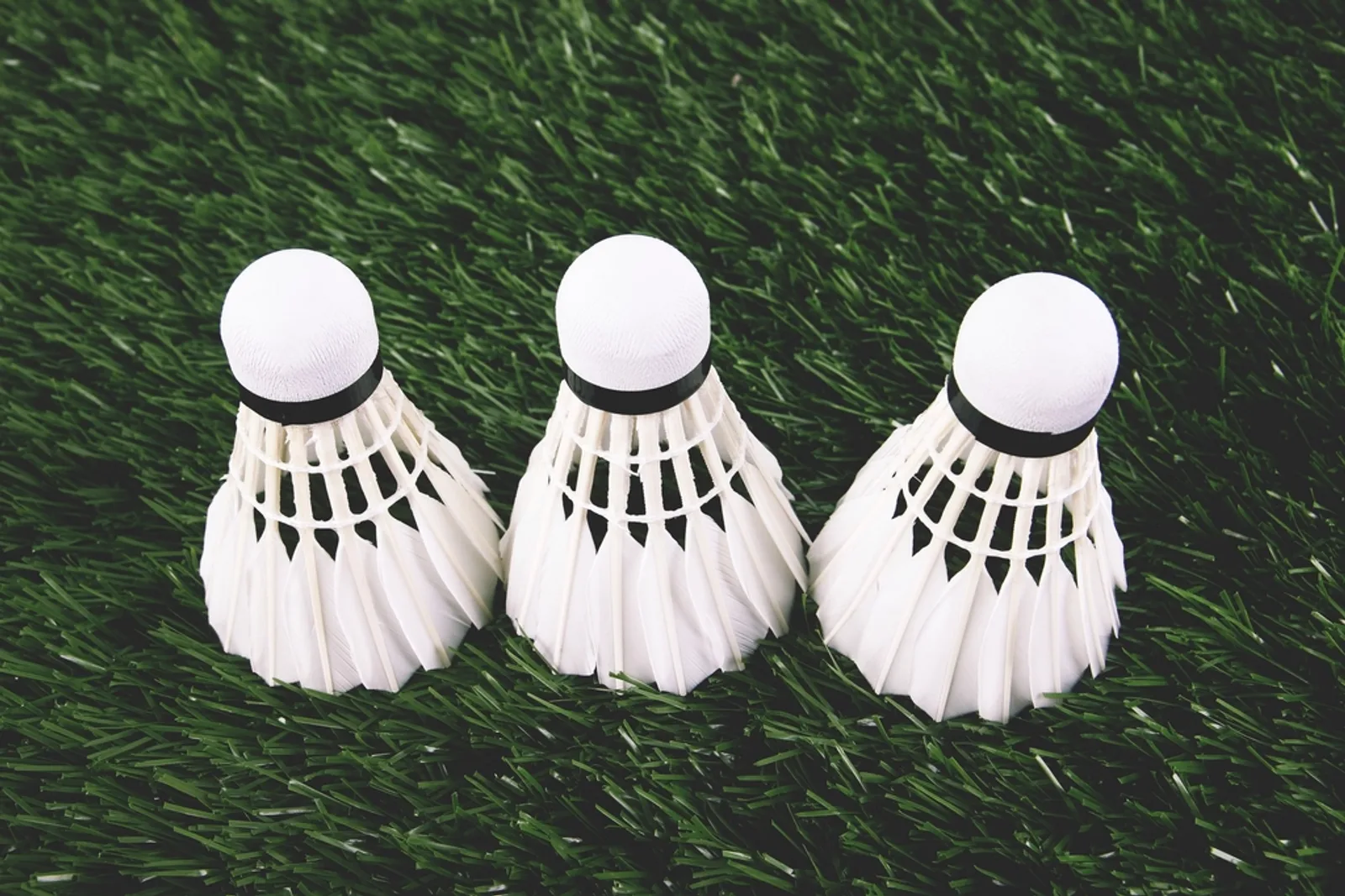Feather shuttlecocks on grass